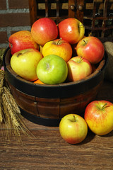Fresh harvest of organic farm green and red apples