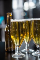 Glasses of beer ready to serve on bar counter