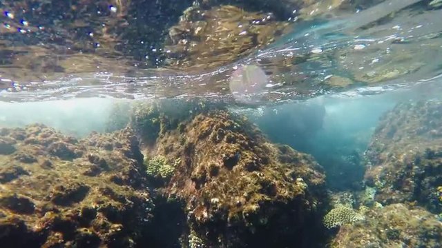 Surf at Coral Reef, Underwater