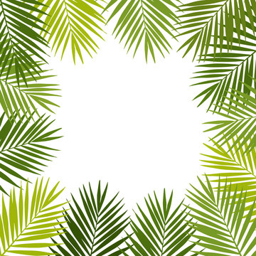Palm leaf silhouettes frame. Tropical leaves. Vector illustration