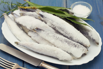 sardines in ice on white dish on blue wooden background