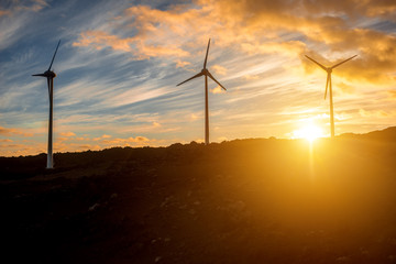 Obraz premium Electric windmills on the sky background on the sunset
