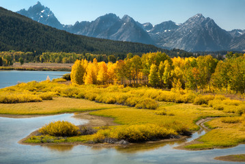 Naklejka premium Horseshoe Bend in the Grand Tetons National Park