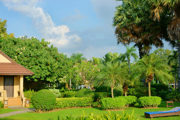 Obraz premium resort in the tropics