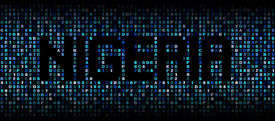 Nigeria text on hex code illustration