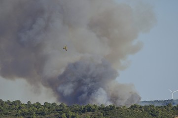 Fototapeta na wymiar incendie de forêt avion de la sécurité civile en région du Languedoc Roussillon