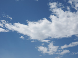 Euro banknotes and coins