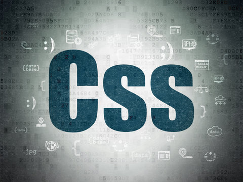 Software concept: Css on Digital Paper background