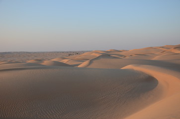 Fototapeta na wymiar Sand dunes with wind blown patterns, Empty Quarter Oman