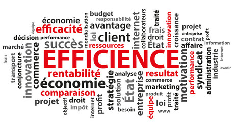 efficience (rentabilité, automatisation)