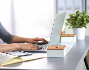 Young businesswoman working on a laptop