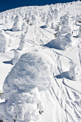 Fototapeta na wymiar snow covered mountain landscape