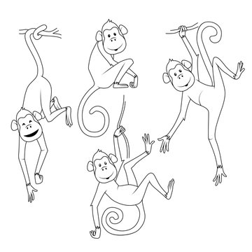 Coloring book: set of monkeys in different poses