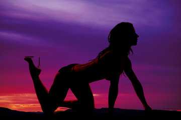 silhouette of sexy woman crawling