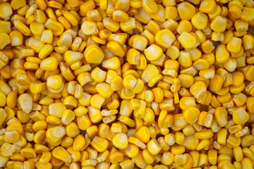 sweet canned corn texture background