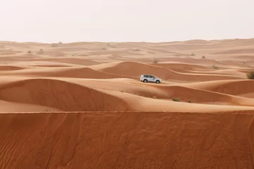 Photo sur Plexiglas Sécheresse Sand dunes of the Arabian desert, close to Dubai in the United Arab Emirates. Soft vintage editing. Picture taken on a desert safari.