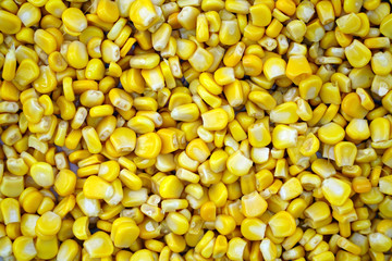 sweet canned corn texture background
