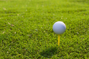 Golf ball on tee in course