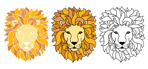 Vector Lions Hand Drawn Illustration