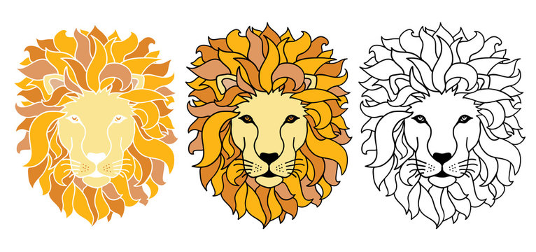 Vector Lions Hand Drawn Illustration