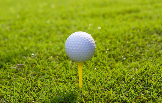 Golf ball on tee in grass background