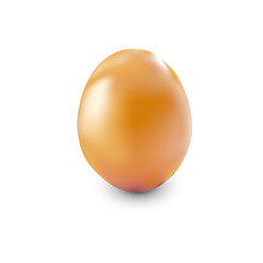 brown chicken egg 