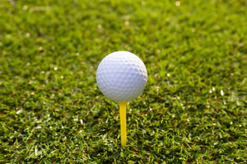 Golf ball on tee in grass