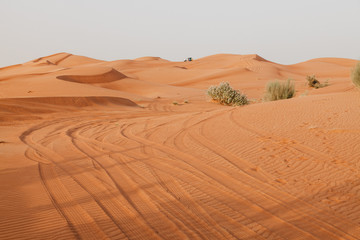 Sand dunes of the Arabian desert, close to Dubai in the United Arab Emirates. Soft vintage editing. Picture taken on a desert safari.