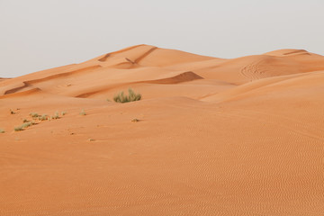 Fototapeta na wymiar Sand dunes of the Arabian desert, close to Dubai in the United Arab Emirates. Soft vintage editing. Picture taken on a desert safari.