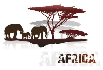 Silhouette of Africa trees and elephants