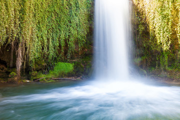 Fototapeta premium Waterfall flows between green foliage