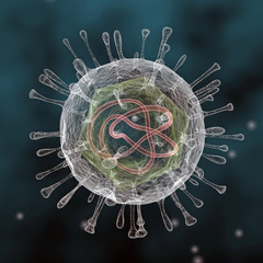 Detail Of Virus