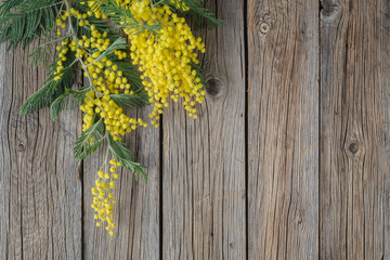 Yellow Mimosa bouquet on a rustic wood table