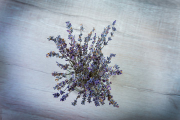 Lavender flowers in close up on wood background with space