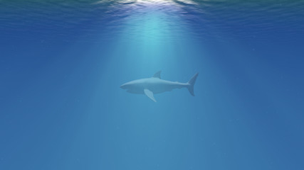 Fototapeta premium The Great White Shark in the Ocean Side View