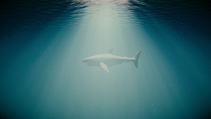 The Great White Shark in the Ocean Side View
