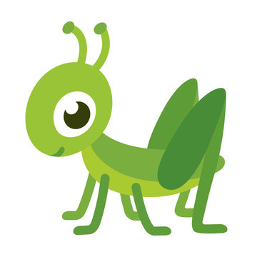 Cute Cartoon Grasshopper