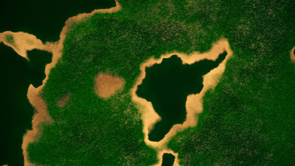 Satellite View of Wild Green Lush Nature Area © boscorelli