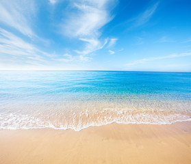 beach and tropical sea