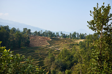 Fototapeta na wymiar Morning time in the Himalayan village