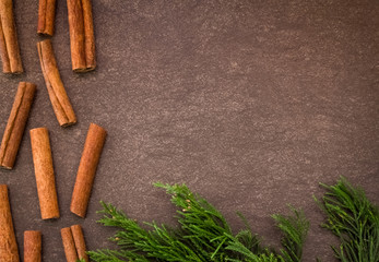 Cinnamon sticks and green branch on light brown background 