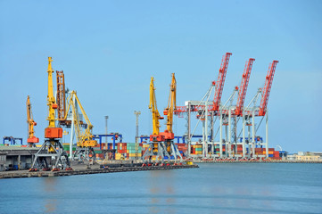 Port cargo crane