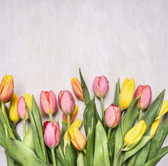 Fresh multicolored tulips, spring, flowers border ,place for text  on wooden rustic background top view close up