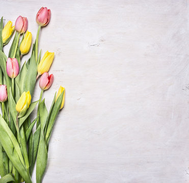 yellow, pink spring tulips, laid on a white wooden background border ,place for text  on wooden rustic background top view close up