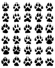 Black print of dogs paws on white background, vector