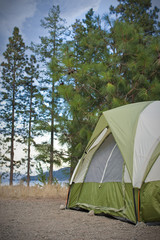 campers tent set up in summer