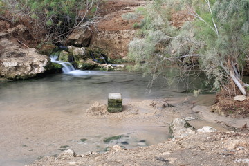 Natural pool-hot springs beside Lake Afrera. Danakil-Ethiopia. 0166