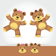 couple teddy bear on white background