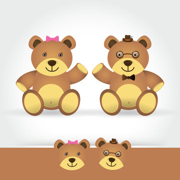 couple teddy bear on white background