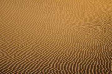 Sand in Sahara desert
